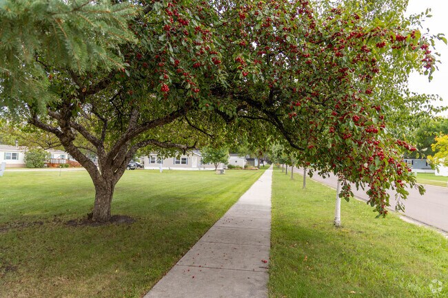 Much of Trollwood has tree cover along its roads and sidewalks perfect for shaded strolls.