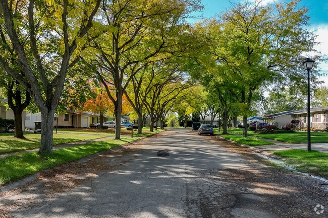 Many streets are lined with old growth trees in South Suburban.