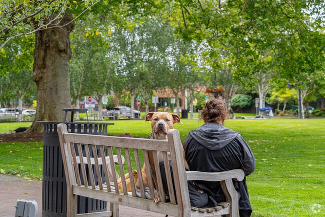 Beaverton residents and their furry companions relax at the Beaverton Library Park.