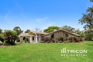 1331 Fergason Ave, Spring Hill, FL 34609