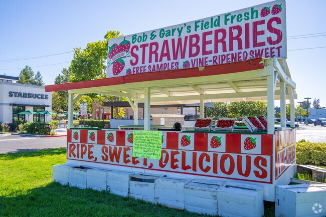 Bob & Gary's Stand in Temeku Hills offers the juiciest, freshest strawberries in Temecula, California.