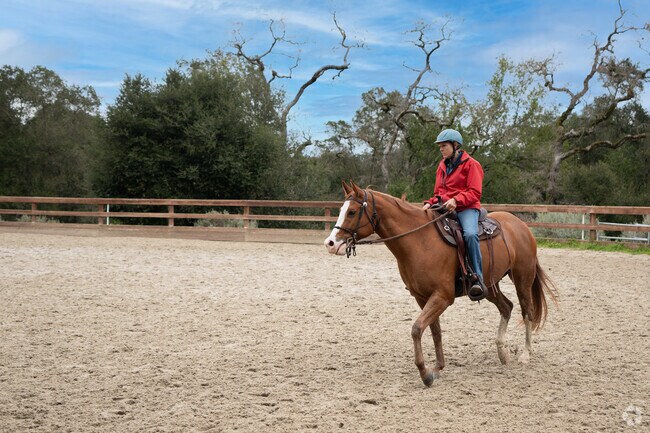 Gallop through the serene trails of Wunderlich County Park in Woodside neighborhood.