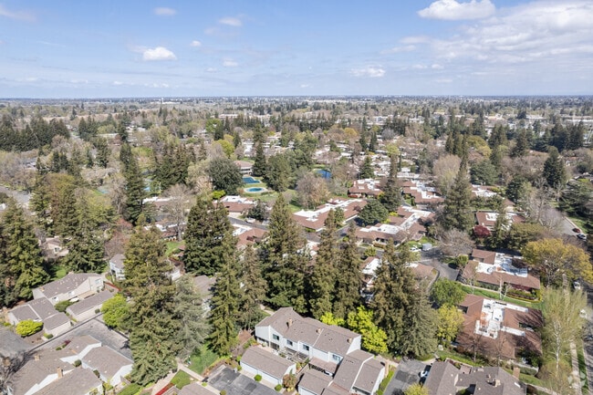 Campus Commons is a peaceful neighborhood.