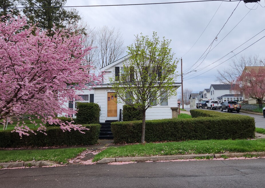 Nice quiet neighborhood