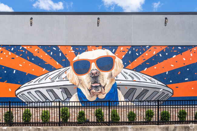 Campustown has Illini pride all over.