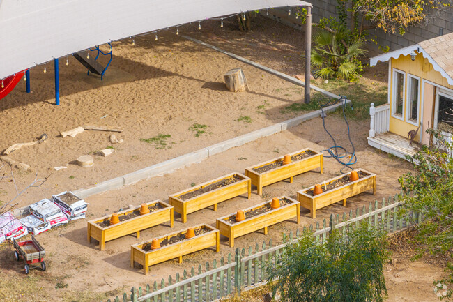 Learn about growning plants at Arrowhead Montessori in Peoria.