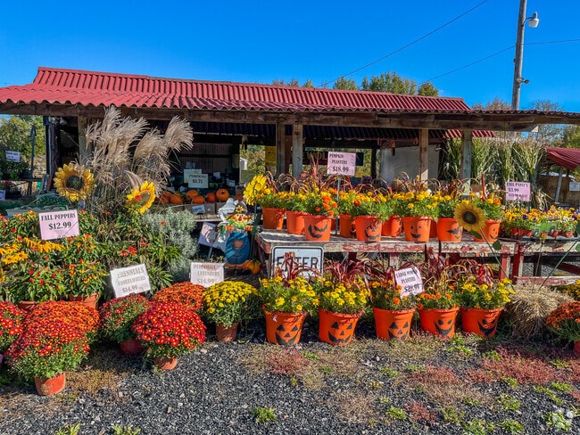 Lone Wolf Farm Market in Pemberton Township has locally grown produce when in season.