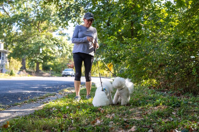 There are plenty of parks and green spaces throughout County House Branch.