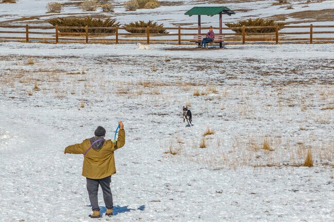 Great Dog Bark Dog Park in Erie is a spacious, welcoming haven for dogs and their owners. With ample play areas, agility equipment, and a friendly community, it’s the perfect spot for furry fun!