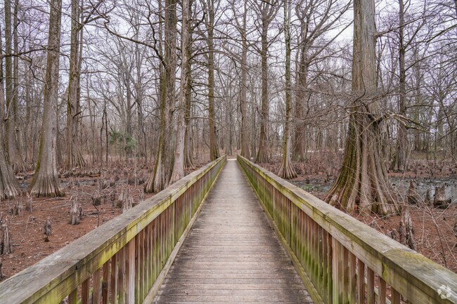 Greenville Cypress Preserve is a 16-acre natural area located at the corner of Highway 82 West and Cypress Lane in Greenville, Mississippi.