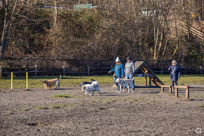 Grandview Off-Leash Dog Park is an impressive park to let the dogs run wild in Seatac.