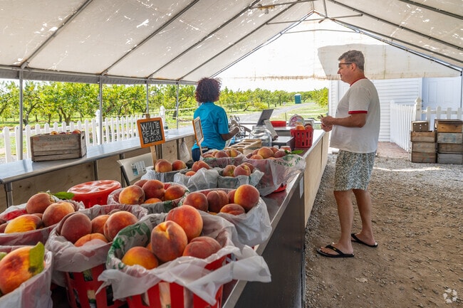 Hayden Orchards in East Shoreham has pick-your-own orchards as well as a farm stand.