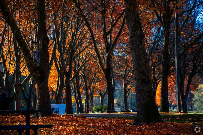 Fort Dent Park near Talbot offers seasonal color and open space.