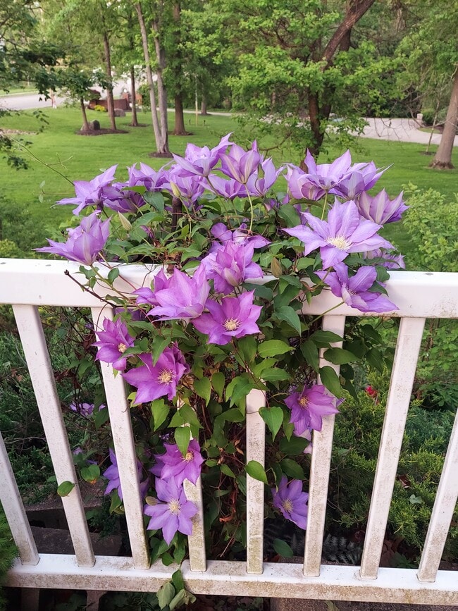 1248 Boettler Rd unit 1248 Boettler Rd, Uniontown, OH 44685 - photo 3