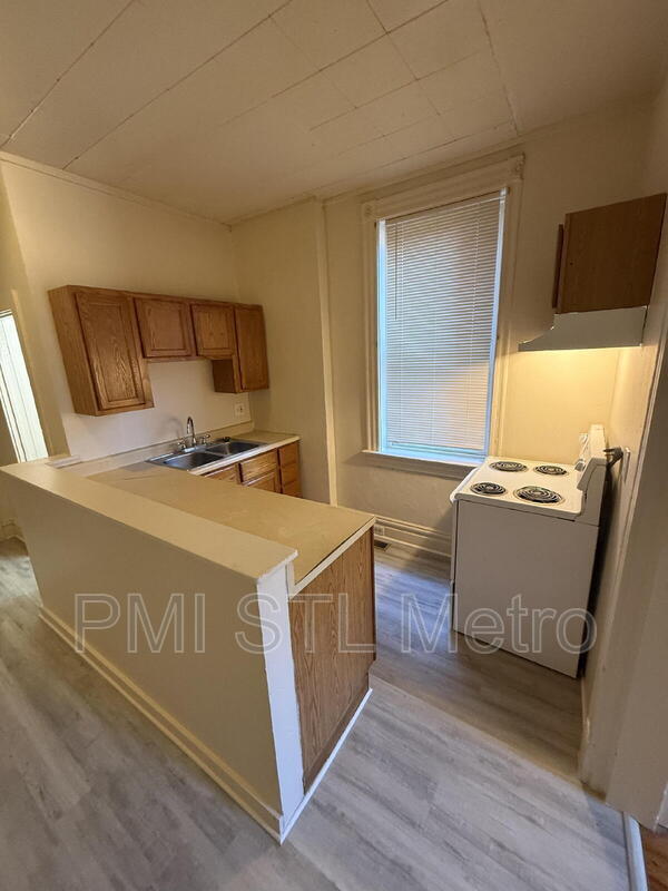 3150 Oregon Ave unit 3150, St. Louis, MO 63118 - photo 7