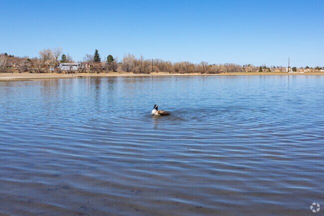 Main Reservoir Park Is Home To Wildlife
