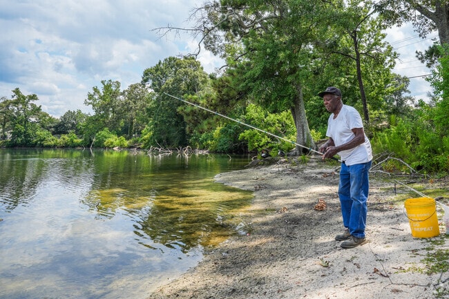 Duncan Lake in Hattiesburg offers a serene escape with its tranquil waters.