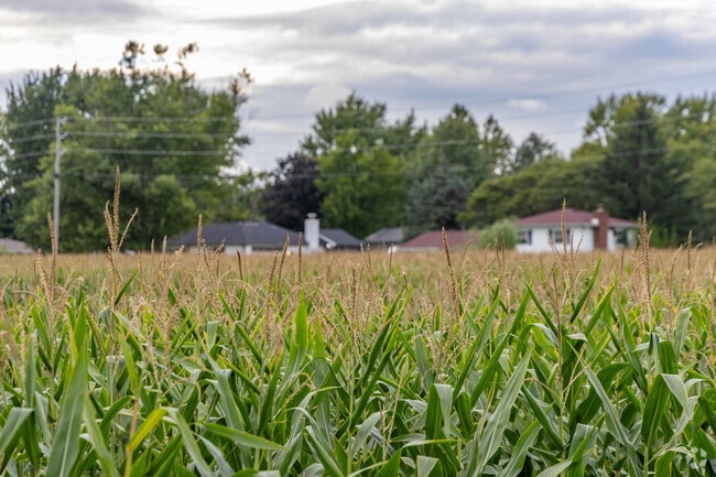 Wanamaker homes are often tucked away between fields of corn.