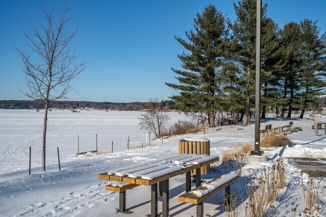 Enjoy a picnic by the lake at Lake Altoona County Park.