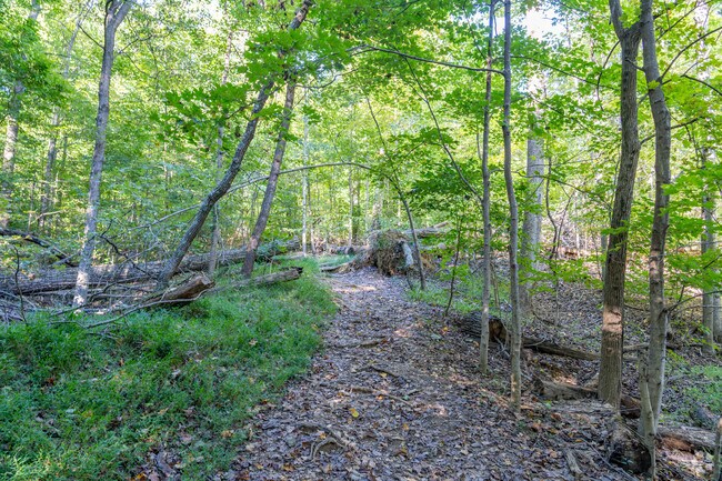 Siltstone Trail runs for nearly 7 miles one way between Tom Wallace Recreation Area and Scott’s Gap Section.