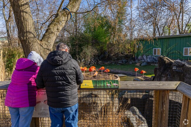The Maryland Zoo is the nation's third oldest Zoo and an iconic regional landmark.