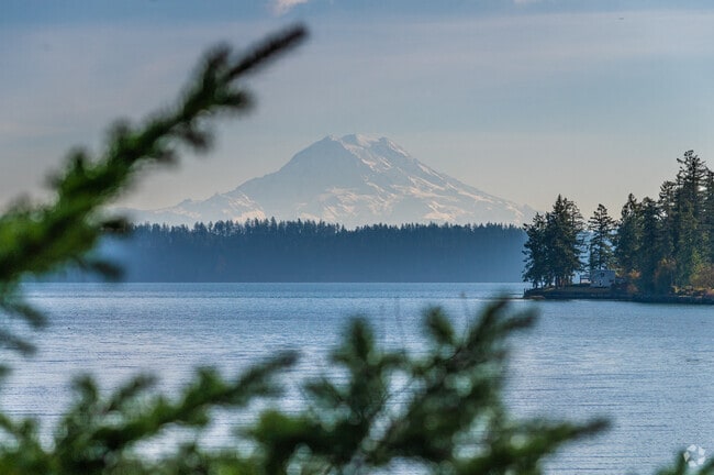 Parts of Anderson Island have a clear view of Mount Rainier across the water.