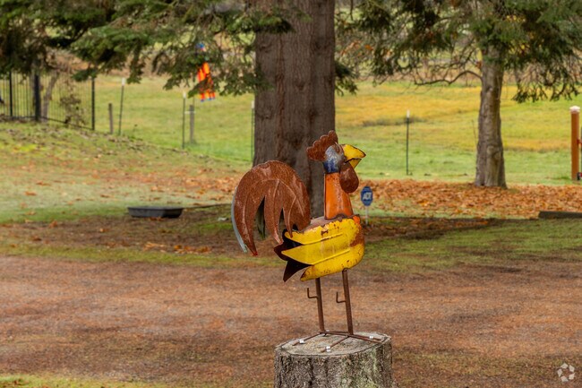 Summit Puyallup residents like to decorate their properties with metal sculptures of roosters.