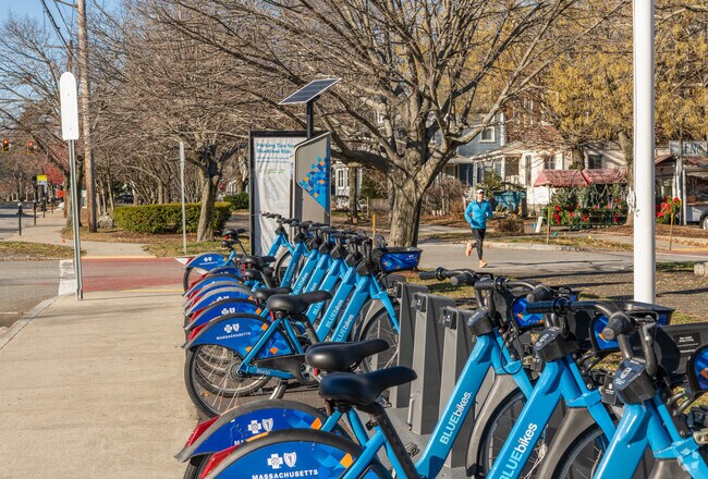 Residents who want to fly down the Auburndale sidewalks can rent a Bluebike.