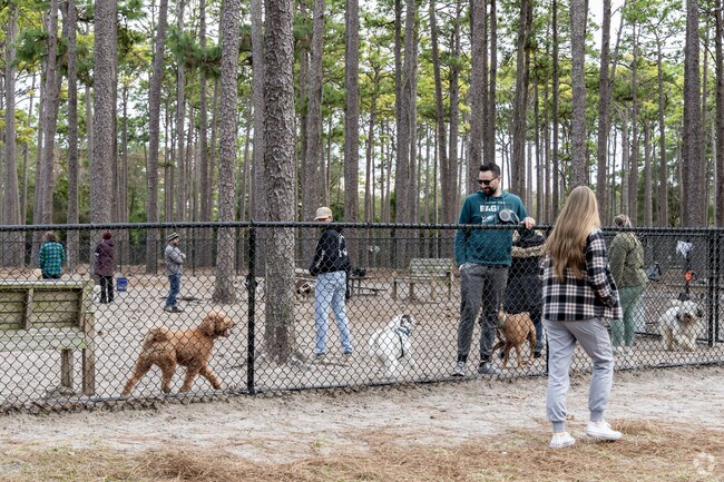 Dogs can run free at the Long Leaf Dog Park.