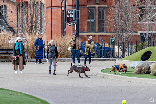 Residents can take their dogs to the dog park at Washington Park in Pendleton.