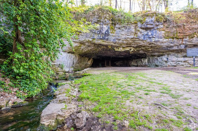 The opening of Giboney Cave inside Doling Park is highlighted by a flowing creek.