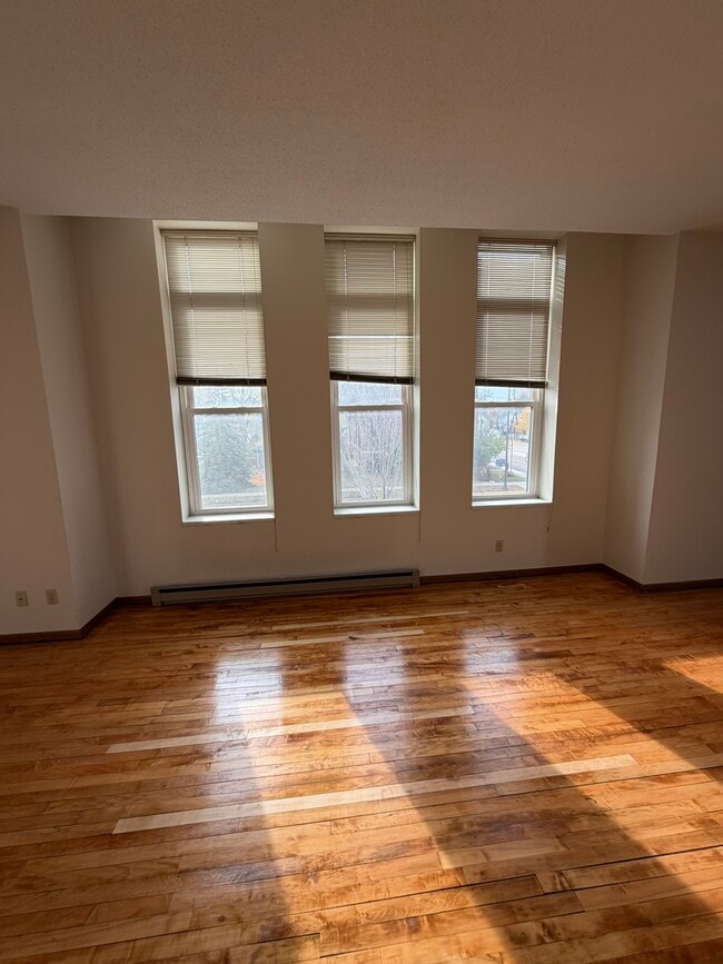 442 Belgrade Ave, North Mankato, MN 56003 - photo 5