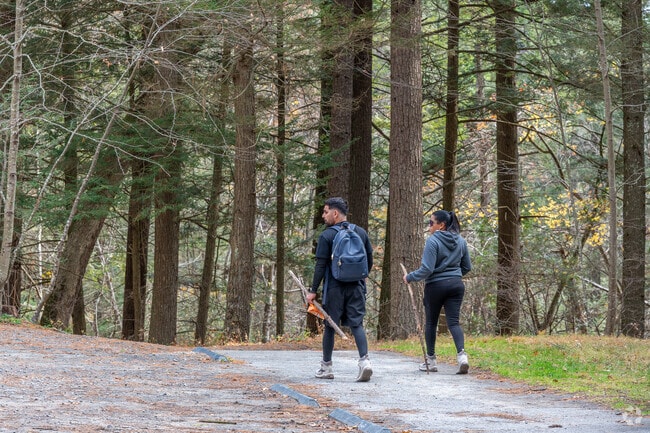 Two hikers enjoy a hike to the Raymondskill Falls in Dingman.