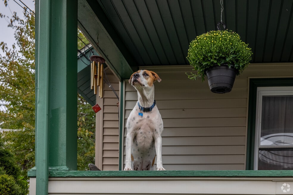 Neighborhood_North Braintree_Final_022024