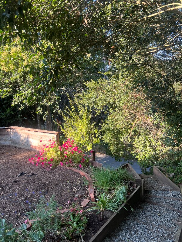 1 Ca-1, Aptos, CA 95003 - photo 1