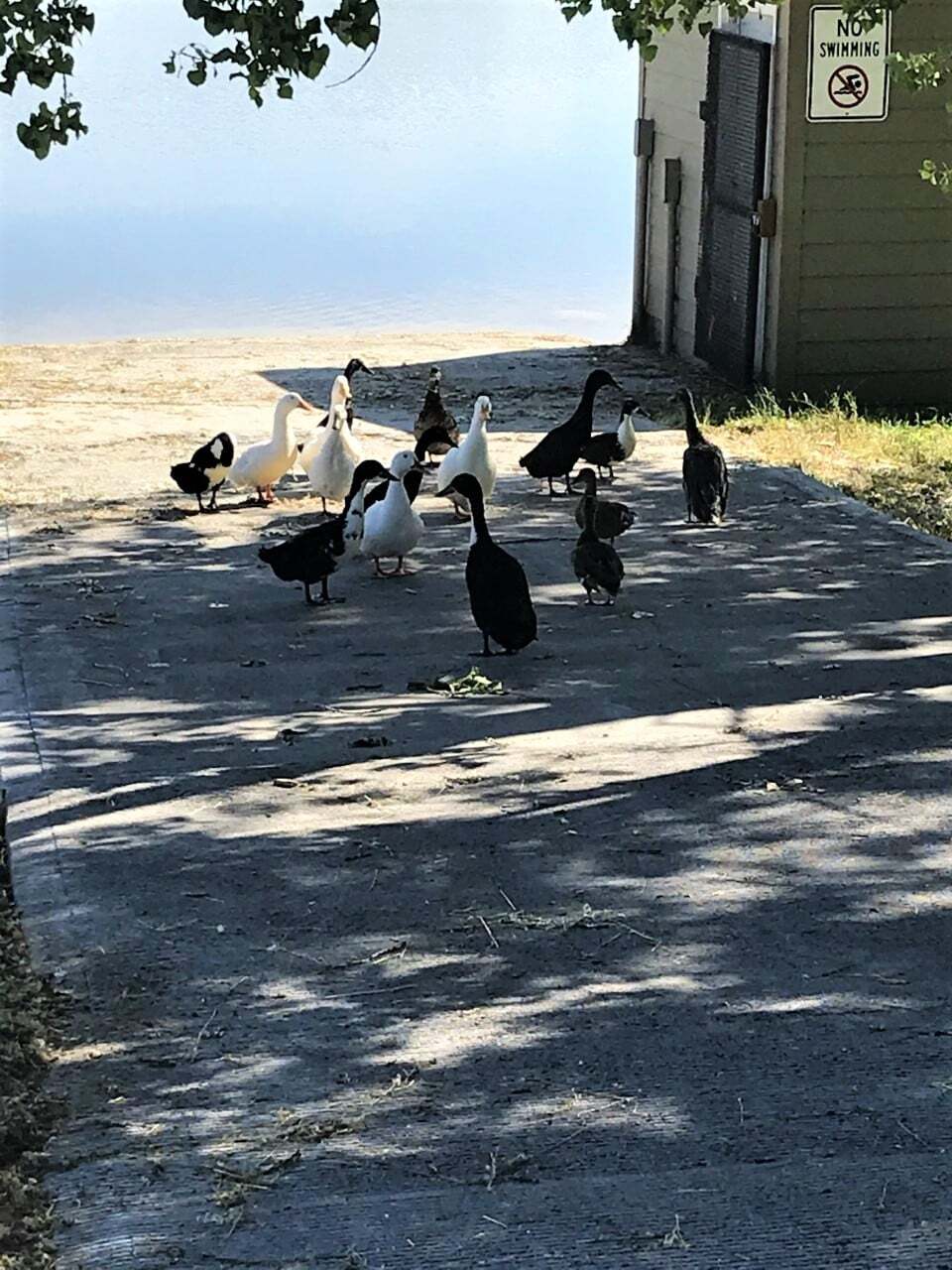 26 Bing St N, Billings, MT 59105 - photo 1