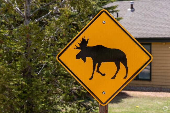 It's not unusual to see wildlife eating in your yard in Green Valley.