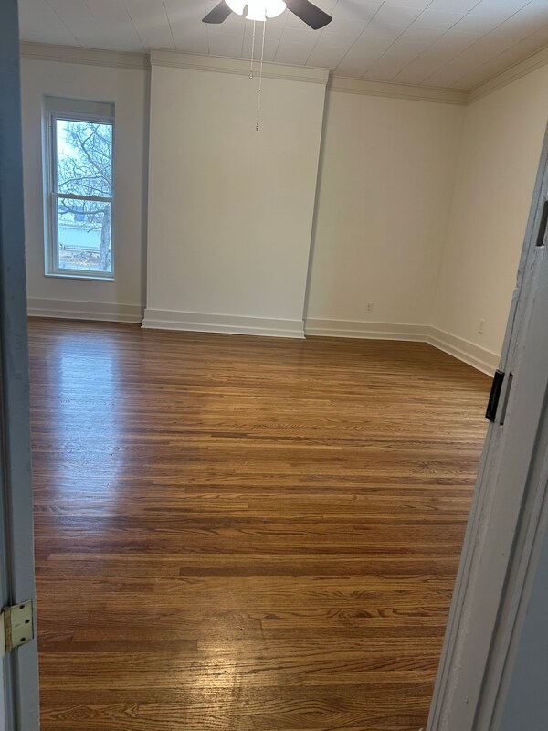 1631 S Main St unit 2, Hopkinsville, KY 42240 - photo 5