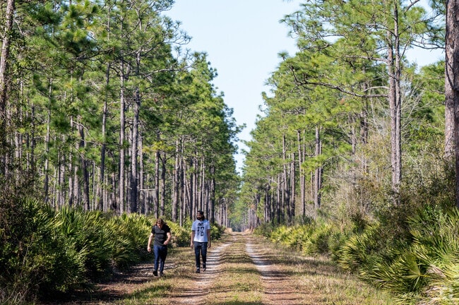 Daisy Lake locals access the Lake Woodruff Wildlife Reserve via multiple trail heads.