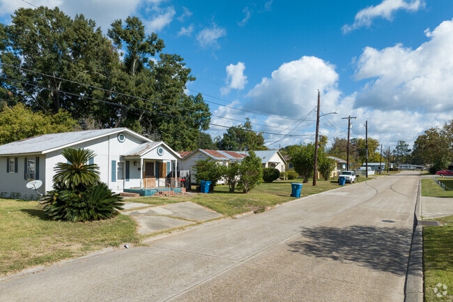 Heymann Park has been undergoing revitalization since 2008.