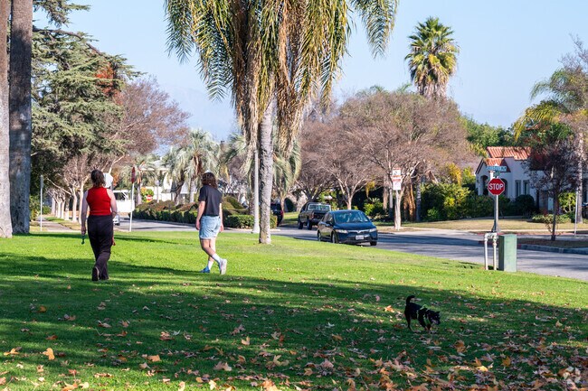 Take a walk with your dog at Lindaraxa Park.