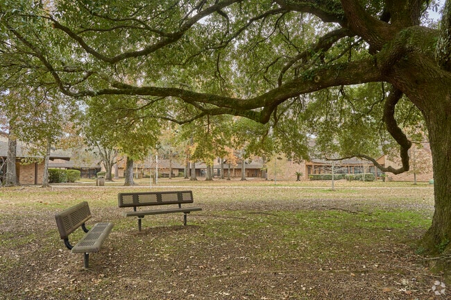 Oak trees adorn the campus of St. Jean Vianney School in Baton Rouge, LA.