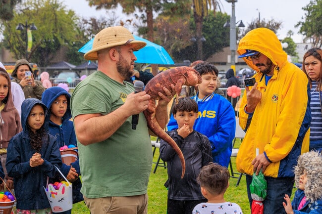 The children get to meet many animals in Paramount Park's annual Dia de los Ninos.