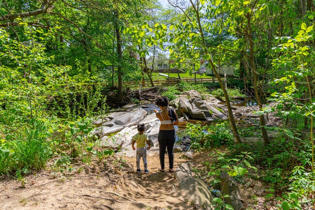 Explore the local flora and fauna along Stemmer Run in Linover Park.