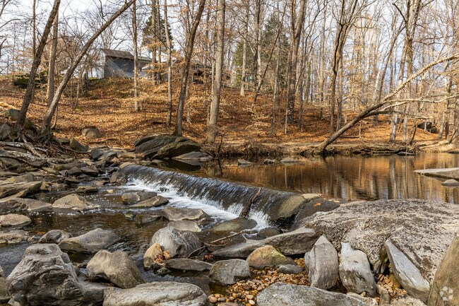 Dora Kelley Nature Park in Alexandria West has over 50 acres of oak and hickory trees.