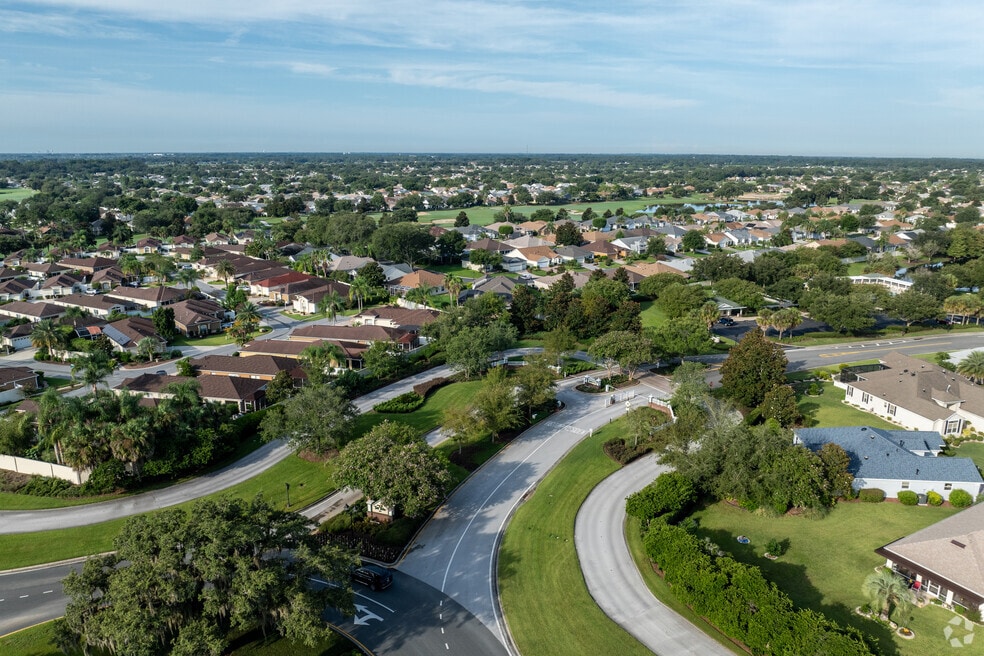 Village of Tall Trees
