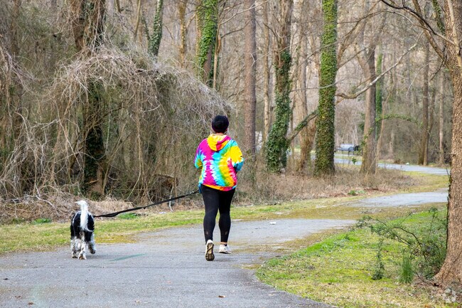Southeast Atlanta's Southtowne Trail meanders gracefully through a lush forest of towering, mature trees, creating a serene and inviting atmosphere for nature lovers and hikers alike.