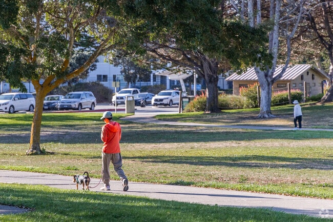 People enjoy walking their dogs at Meadow Homes Park in Concord.
