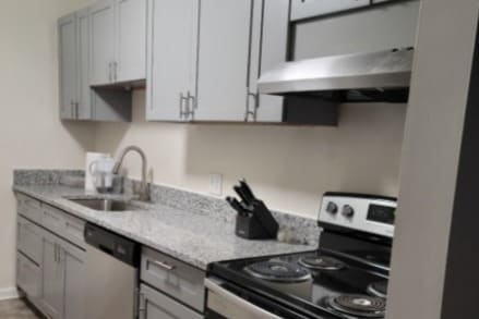 The Vintage, Rock Hill, SC 29732 - photo 1