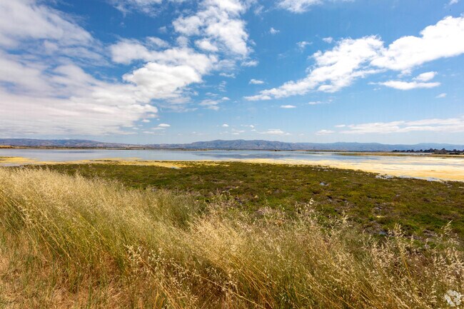 Residents enjoy the wealth of the outdoors at Stevens Creek Shoreline Nature Study Area.